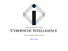Tablet Screenshot of cybernetic.org